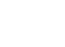 Vicae